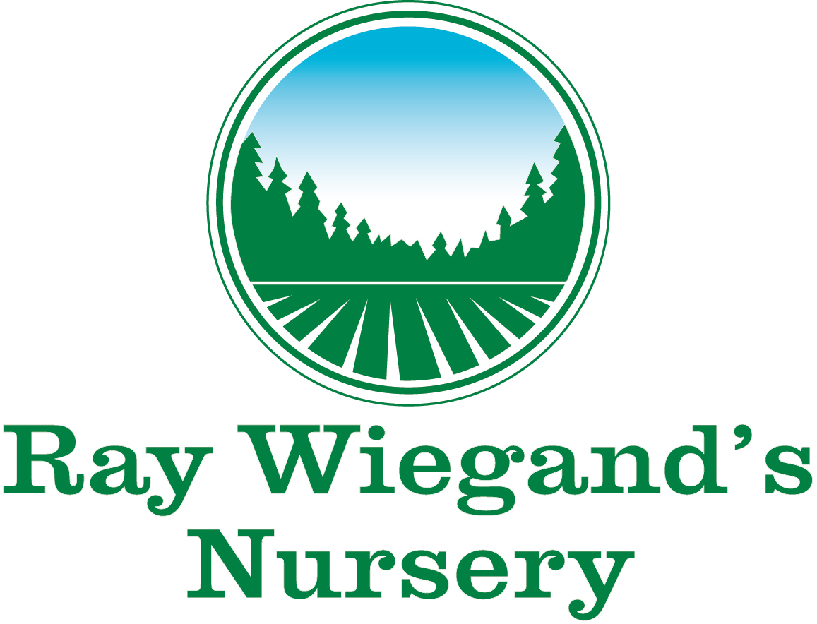 Ray Wiegands logo