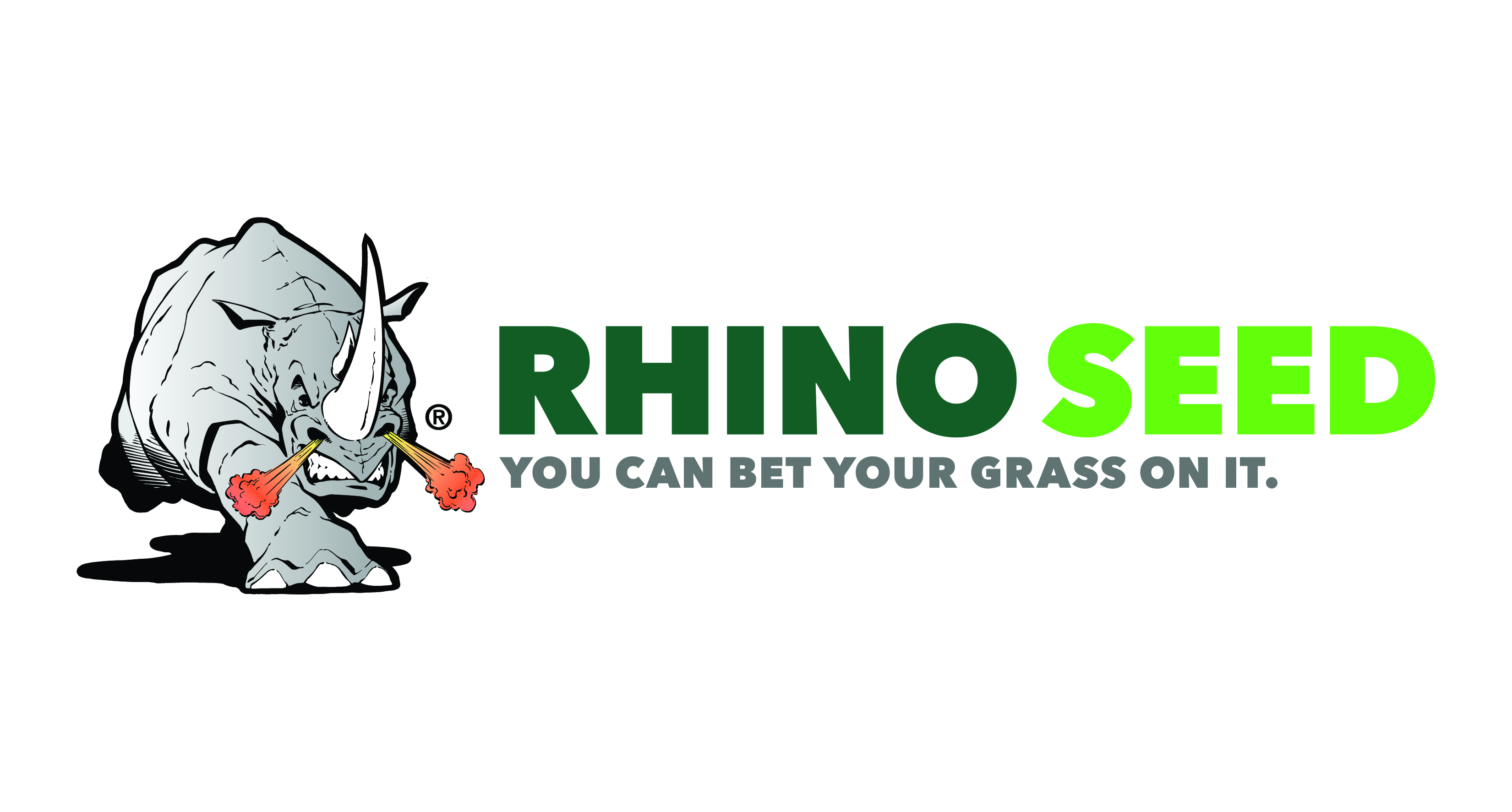 Rhino logo