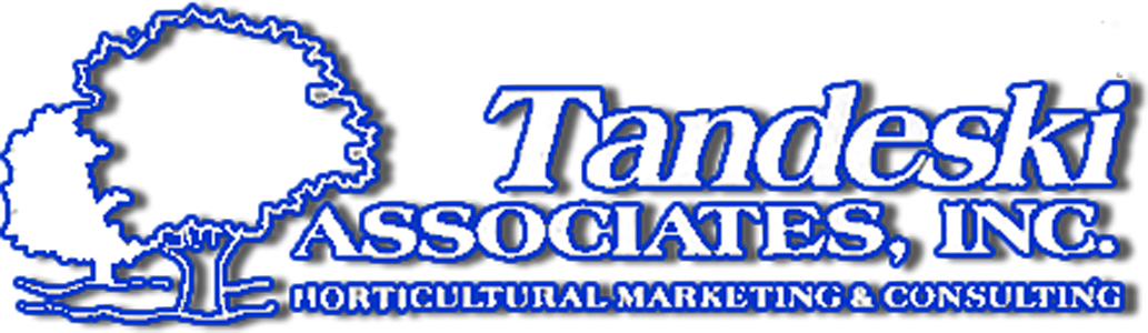 Tandeski logo