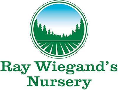 Wiegand's small logo