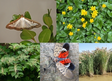 Sustainability image