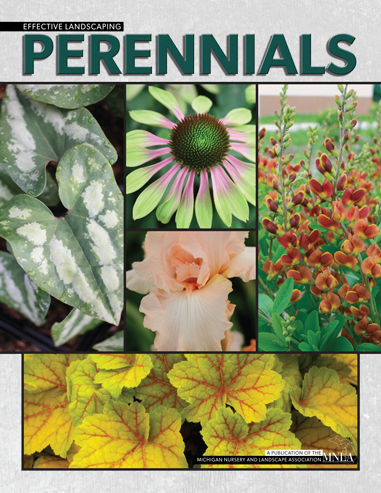 Perennials Cover